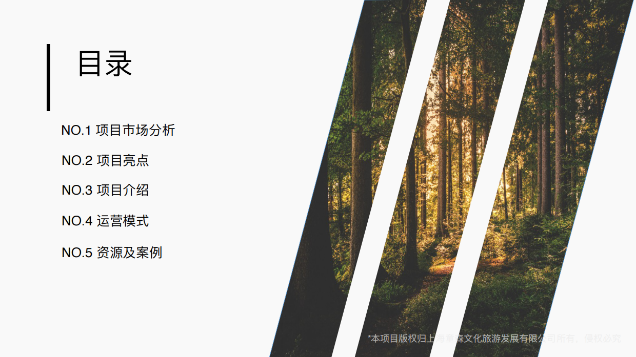 品牌介绍丨沉浸式亲自研学项目上海科幻森林精灵岛.pdf_第3页