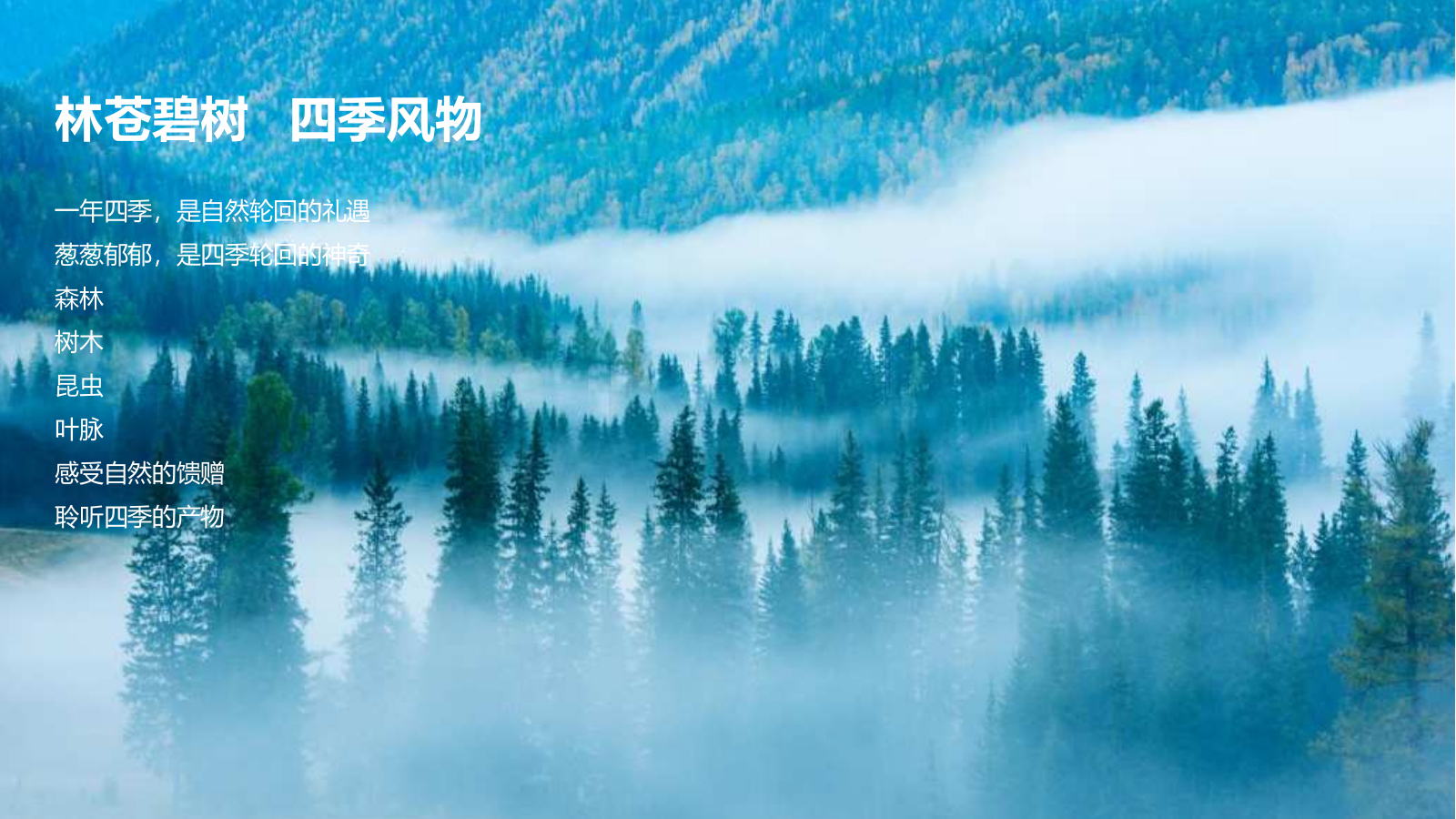 暑期自然童玩研学营“野外自然营·山间萤火处”主题活动策划方案.pptx_第2页