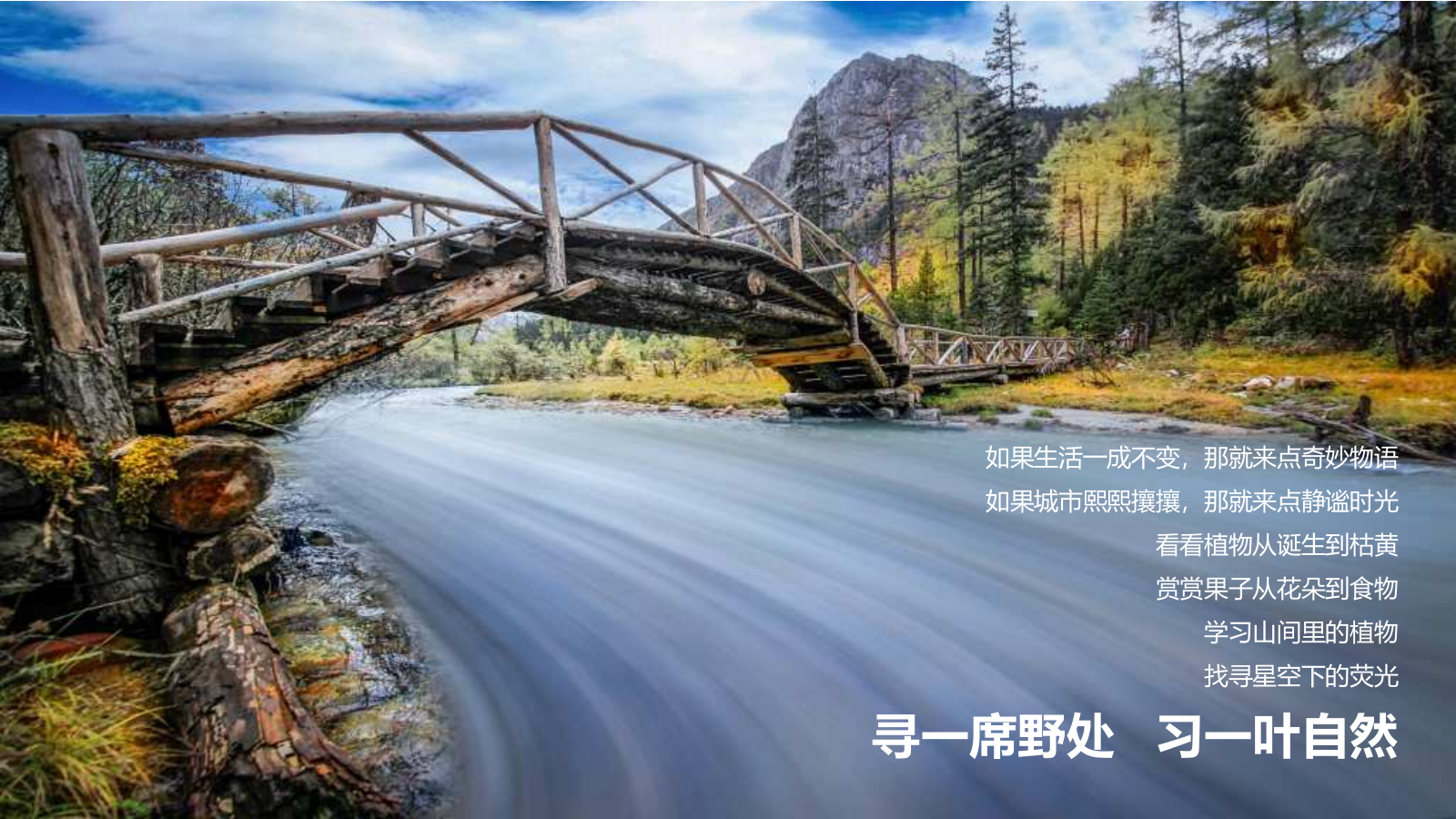 暑期自然童玩研学营“野外自然营·山间萤火处”主题活动策划方案.pptx_第3页