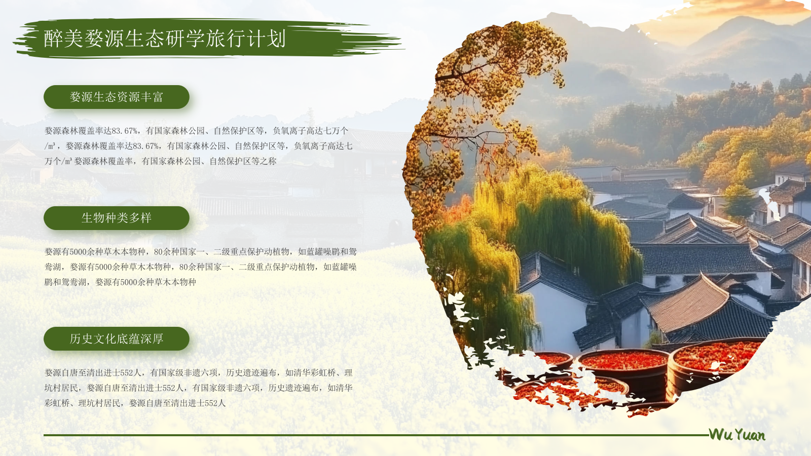 绿色醉美婺源生态研学旅行计划PPT模板.pptx_第4页
