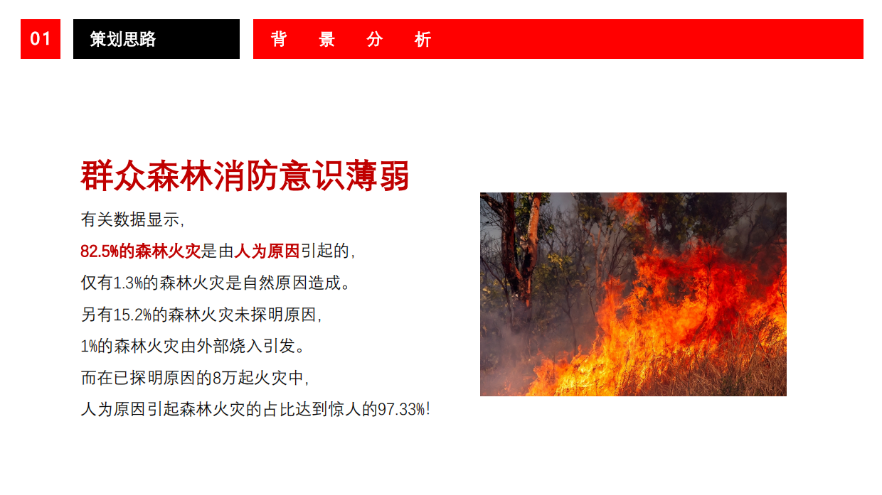 森林消防科普研学基地活动方案.pdf_第5页