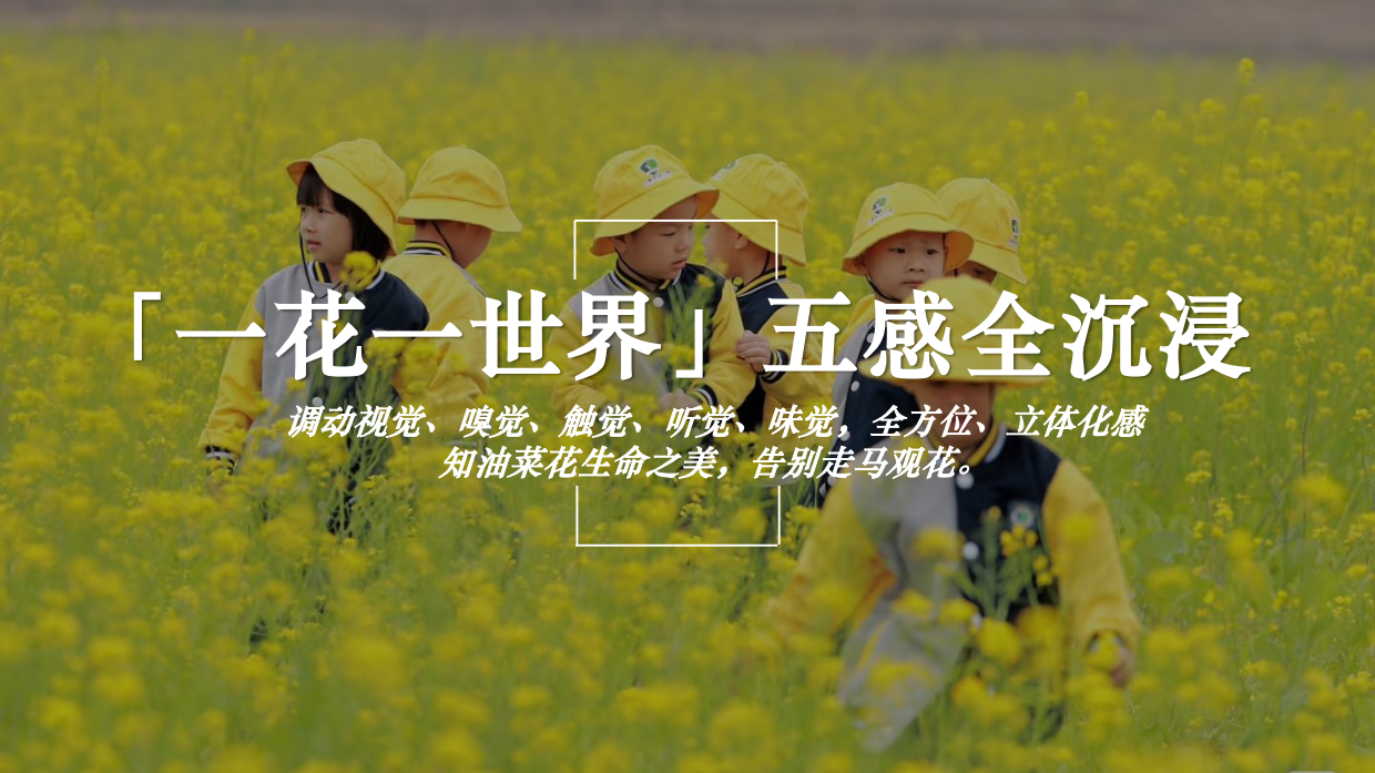 2026春日油菜花田研学“花田油礼 探春知趣”活动方案.pdf_第10页