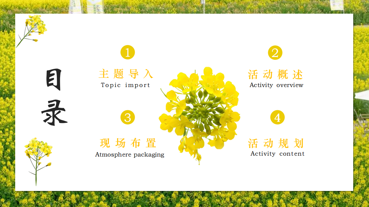 2026春日油菜花田研学“花田油礼 探春知趣”活动方案.pdf_第2页