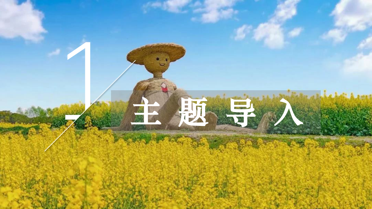 2026春日油菜花田研学“花田油礼 探春知趣”活动方案.pdf_第3页