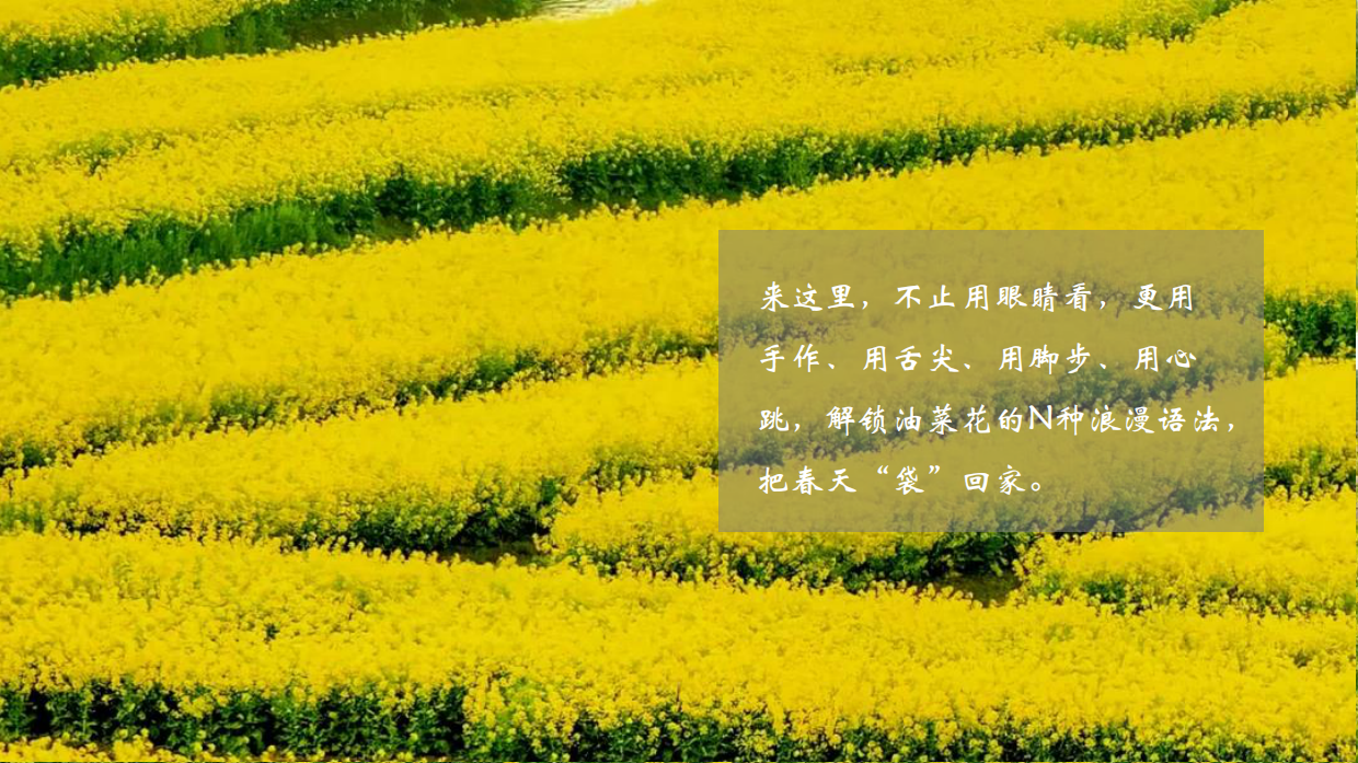 2026春日油菜花田研学“花田油礼 探春知趣”活动方案.pdf_第5页