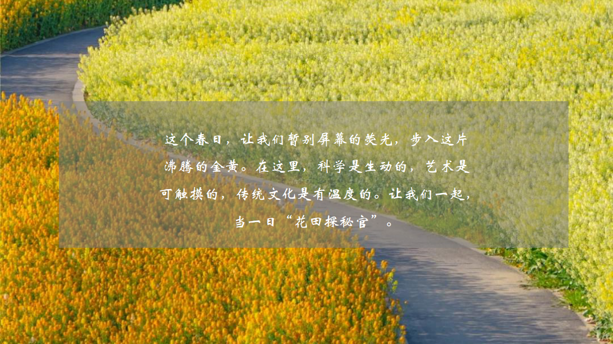 2026春日油菜花田研学“花田油礼 探春知趣”活动方案.pdf_第6页