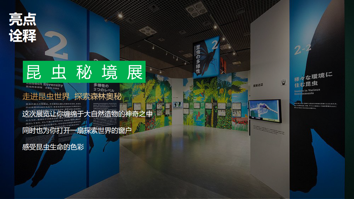 青少年博物研学系列活动.pdf_第10页