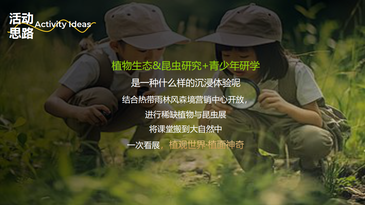 青少年博物研学系列活动.pdf_第3页