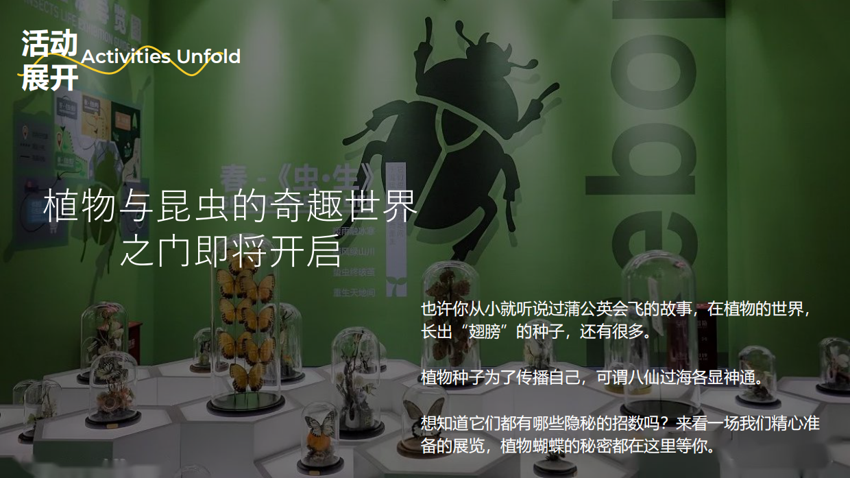 青少年博物研学系列活动.pdf_第4页