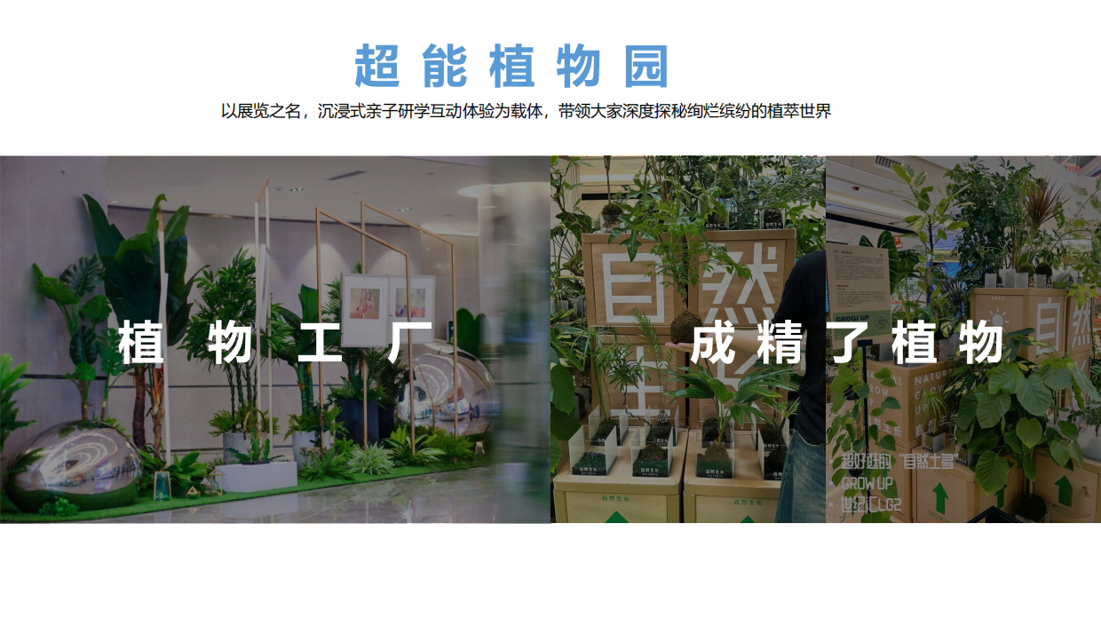 青少年博物研学系列活动.pdf_第9页