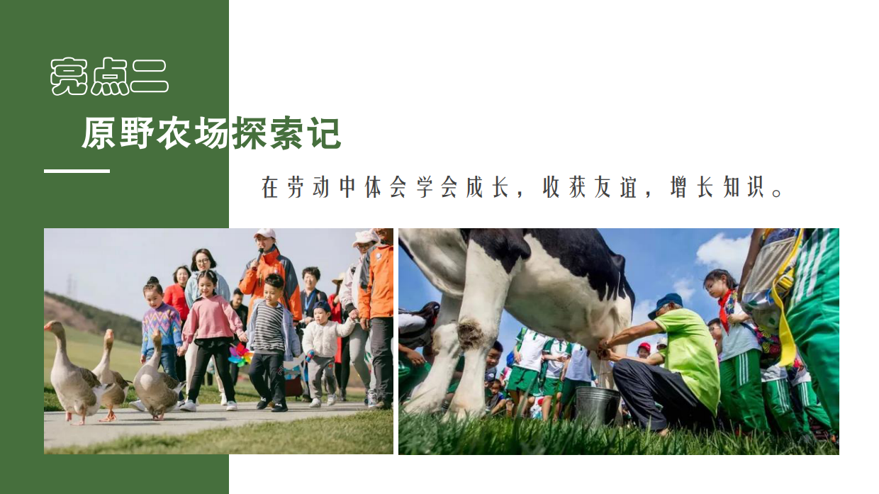 亲子研学“向往的生活”农场研学露营田野劳动农耕策划方案.pdf_第5页