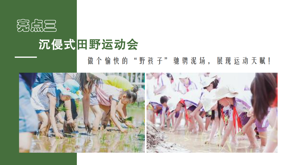 亲子研学“向往的生活”农场研学露营田野劳动农耕策划方案.pdf_第6页