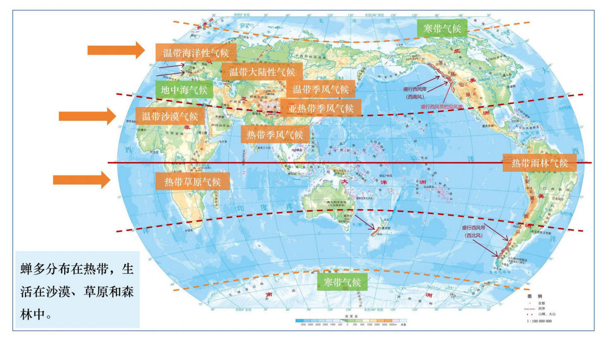 昆虫记研学知识分享.pdf_第10页