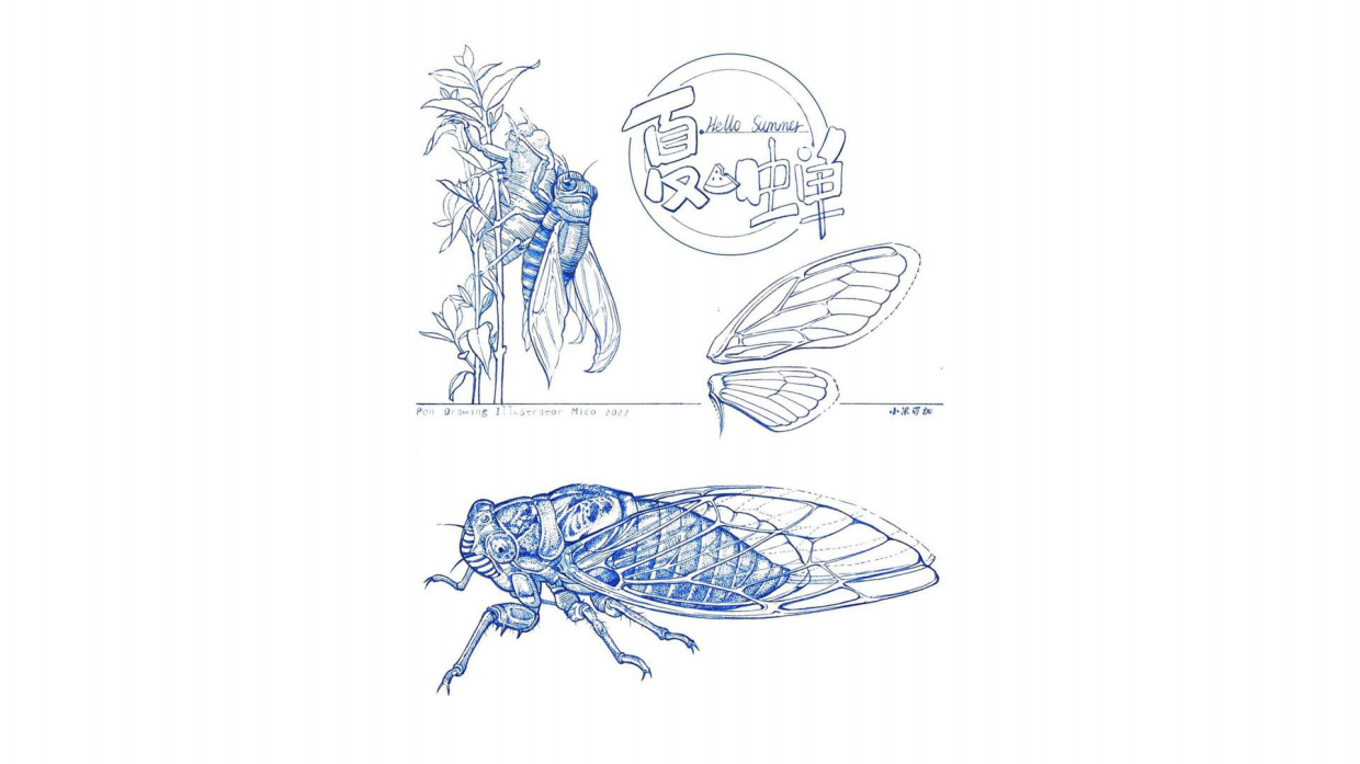 昆虫记研学知识分享.pdf_第2页
