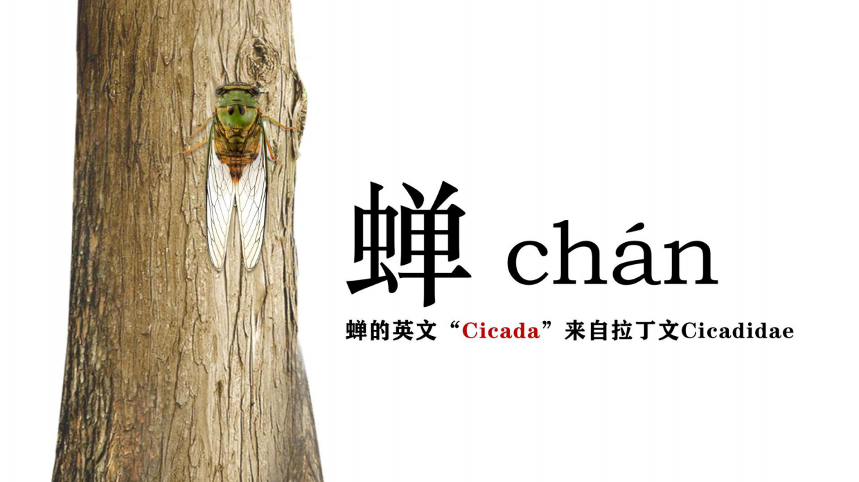 昆虫记研学知识分享.pdf_第3页