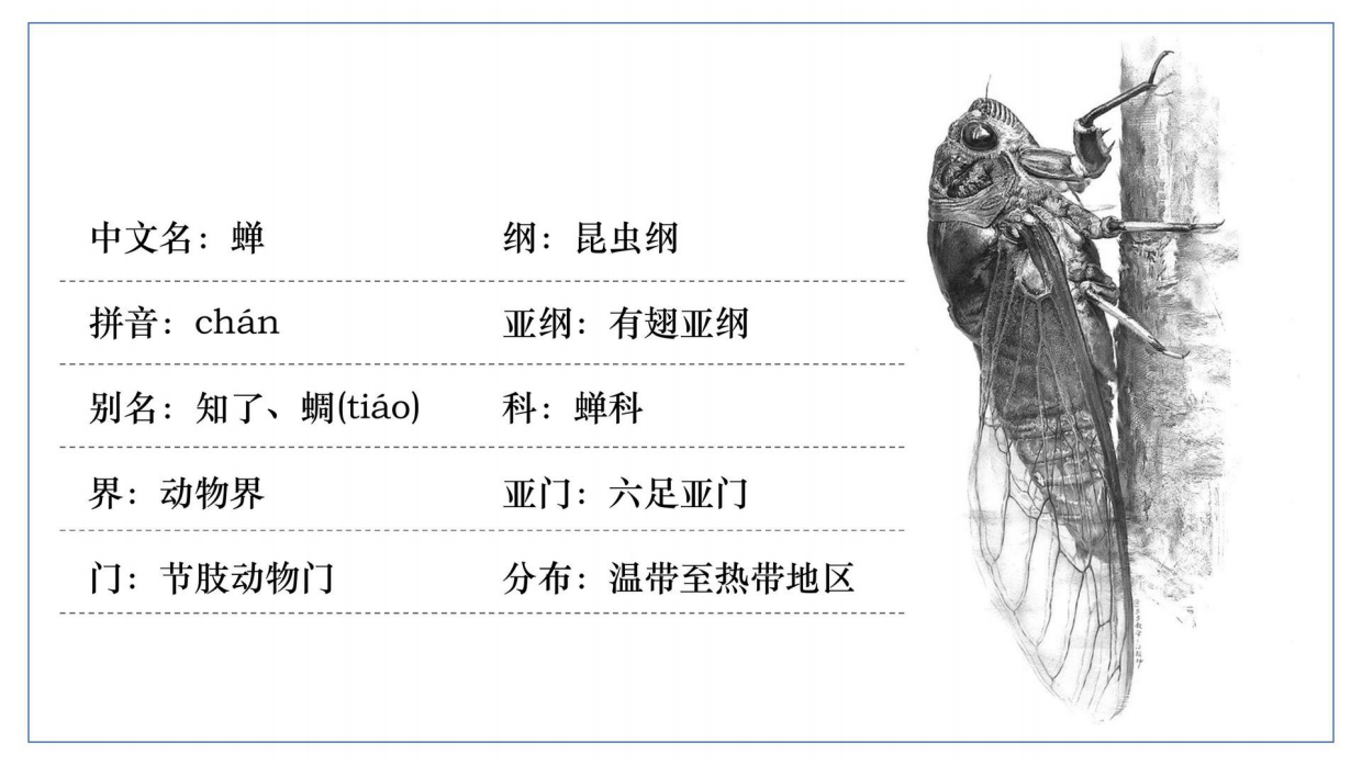 昆虫记研学知识分享.pdf_第4页