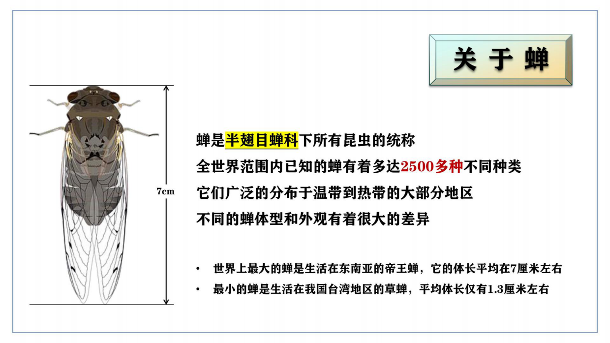 昆虫记研学知识分享.pdf_第5页