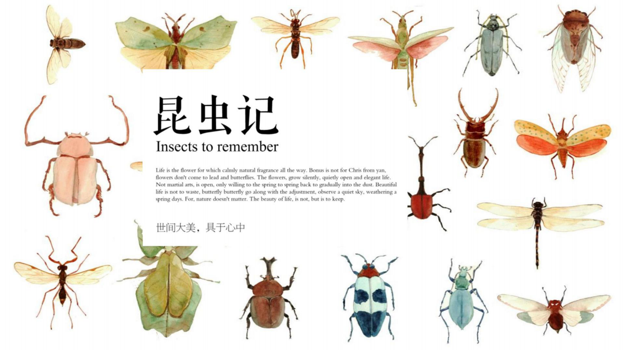 昆虫记研学知识分享.pdf