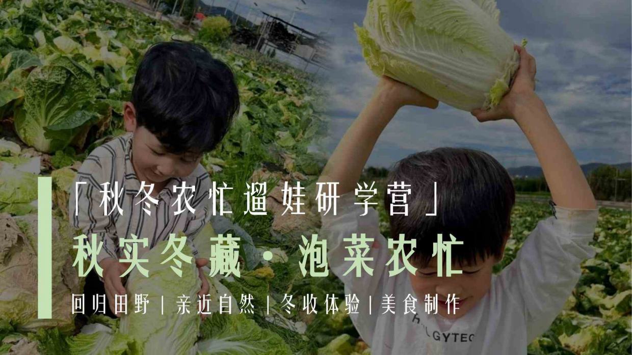 秋实冬藏泡菜农忙学校教育机构秋冬遛娃研学营活动策划案.pdf_第1页