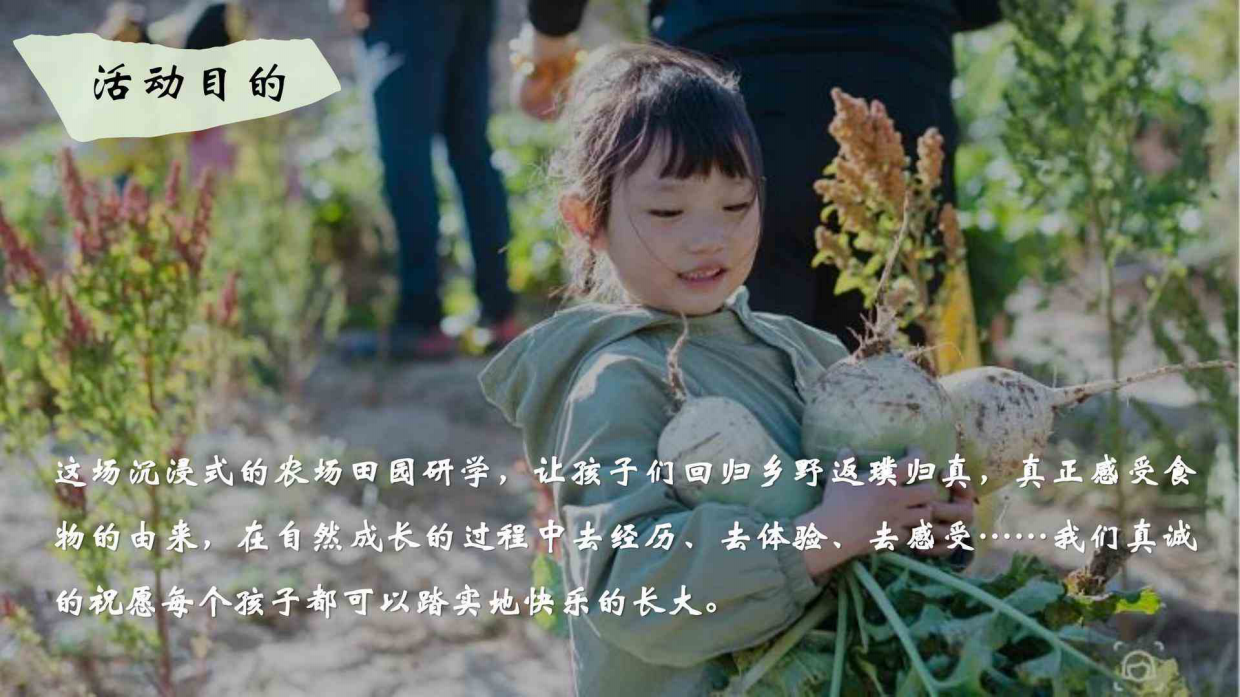 秋实冬藏泡菜农忙学校教育机构秋冬遛娃研学营活动策划案.pdf_第10页