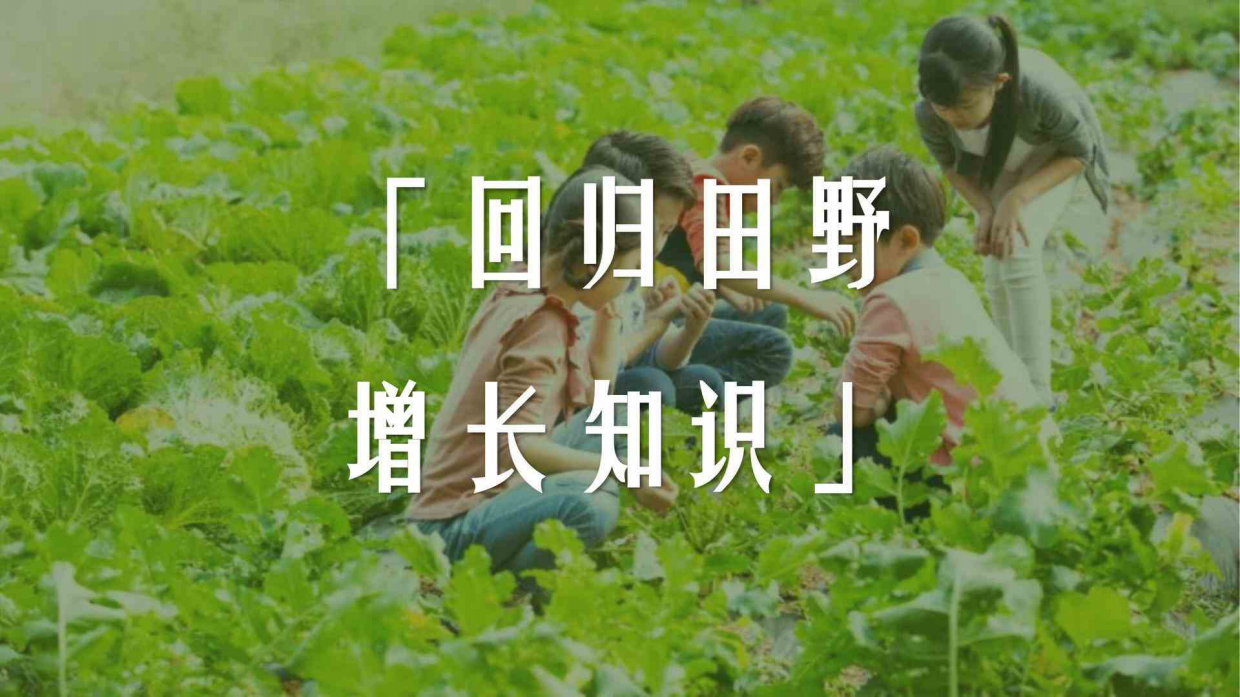秋实冬藏泡菜农忙学校教育机构秋冬遛娃研学营活动策划案.pdf_第2页
