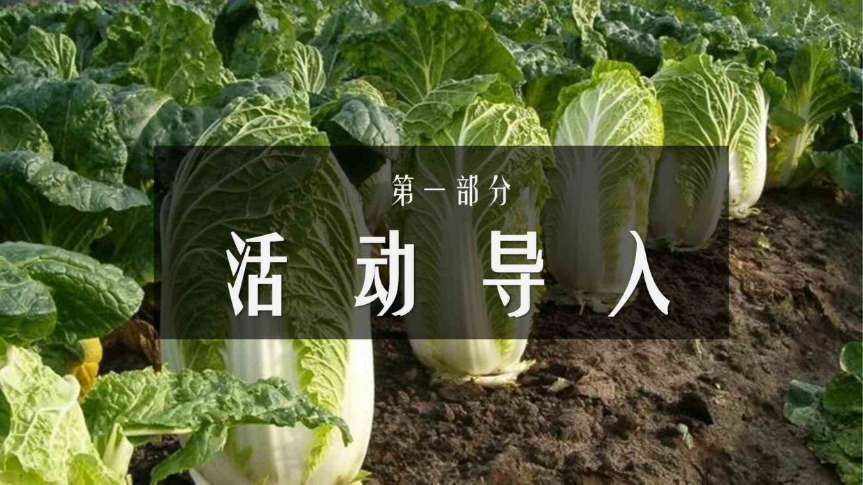 秋实冬藏泡菜农忙学校教育机构秋冬遛娃研学营活动策划案.pdf_第6页