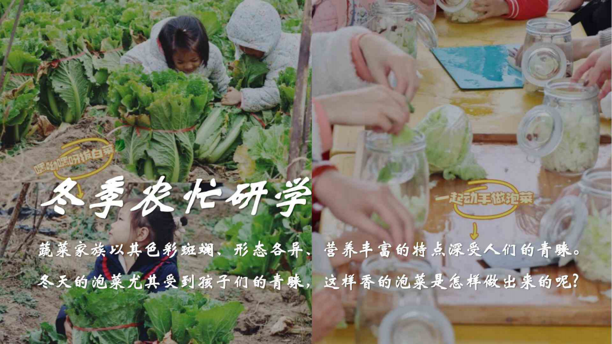 秋实冬藏泡菜农忙学校教育机构秋冬遛娃研学营活动策划案.pdf_第7页