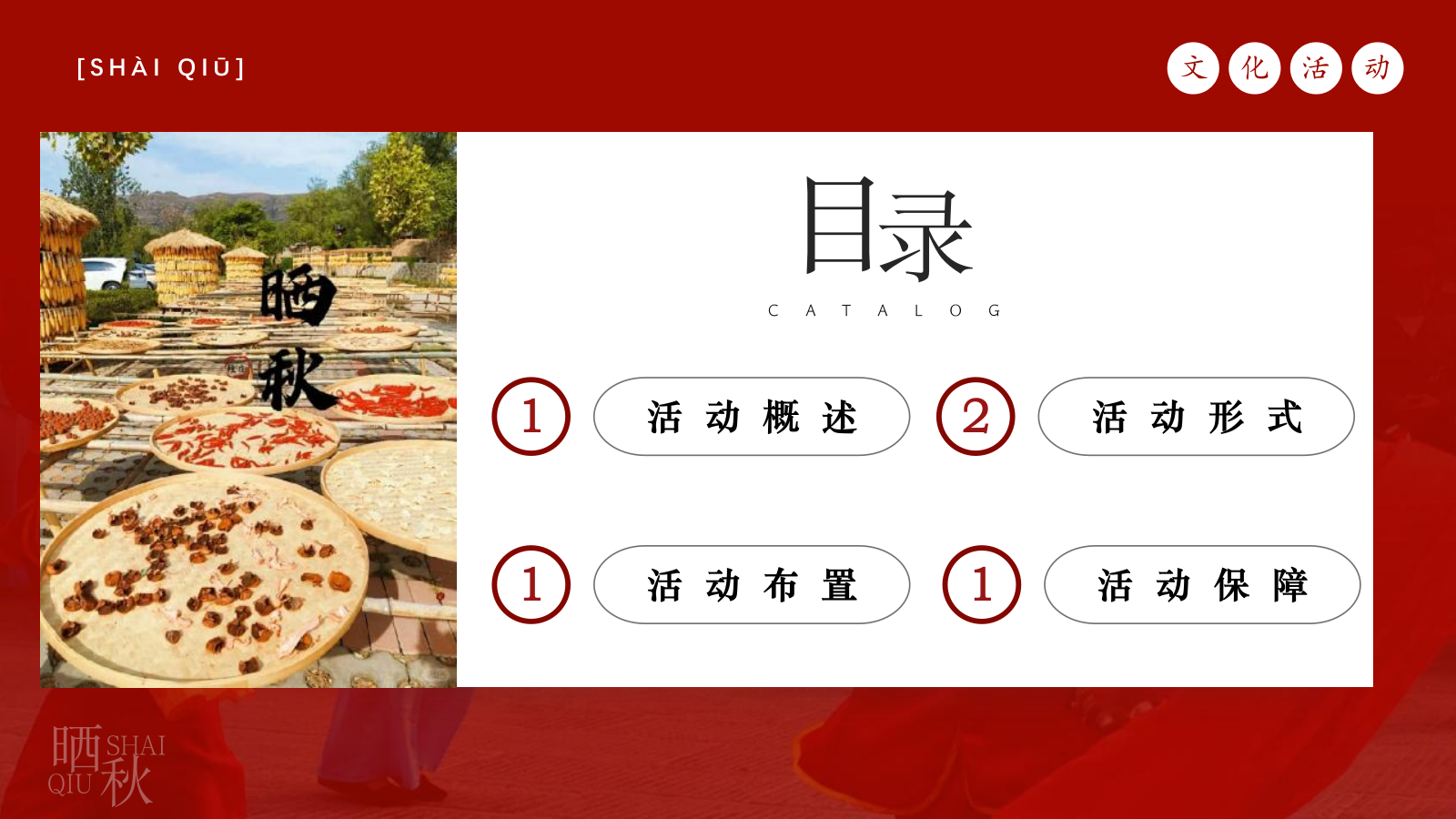 2024商业街秋日传统非遗集市（金秋丰收·晒秋文化节主题）活动策划方案-62P.pptx_第5页