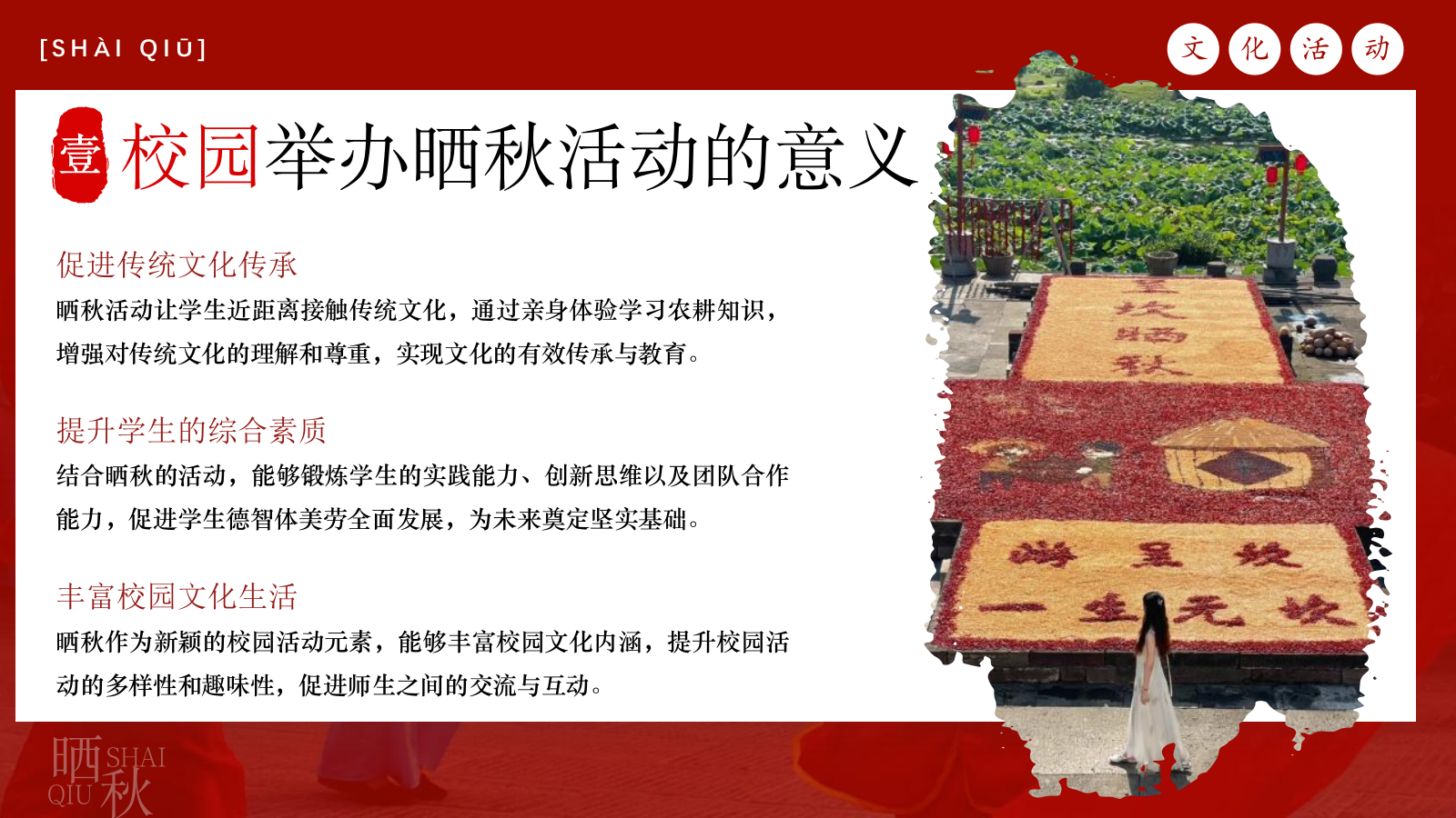 2024商业街秋日传统非遗集市（金秋丰收·晒秋文化节主题）活动策划方案-62P.pptx_第9页