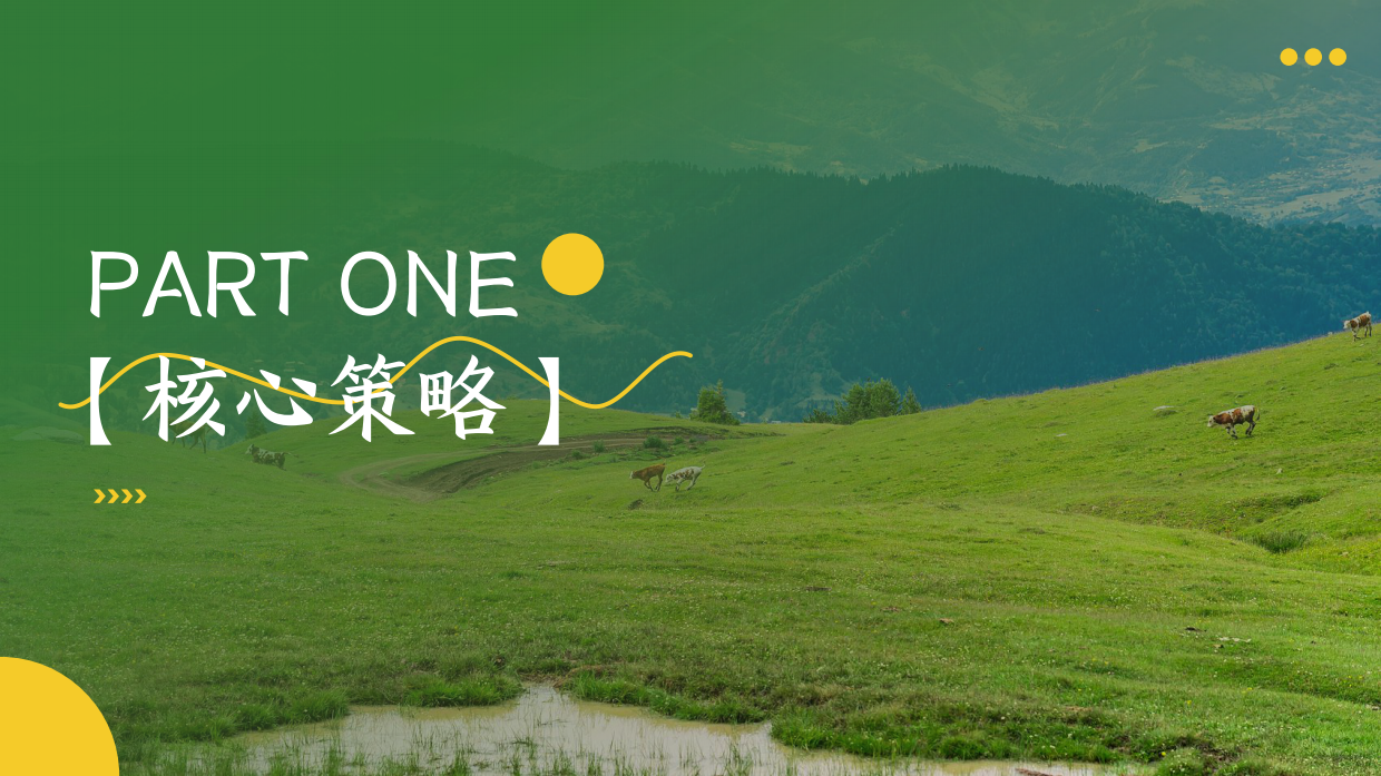 2026夏日户外自由季市集音乐会系列活动方案.pdf_第3页