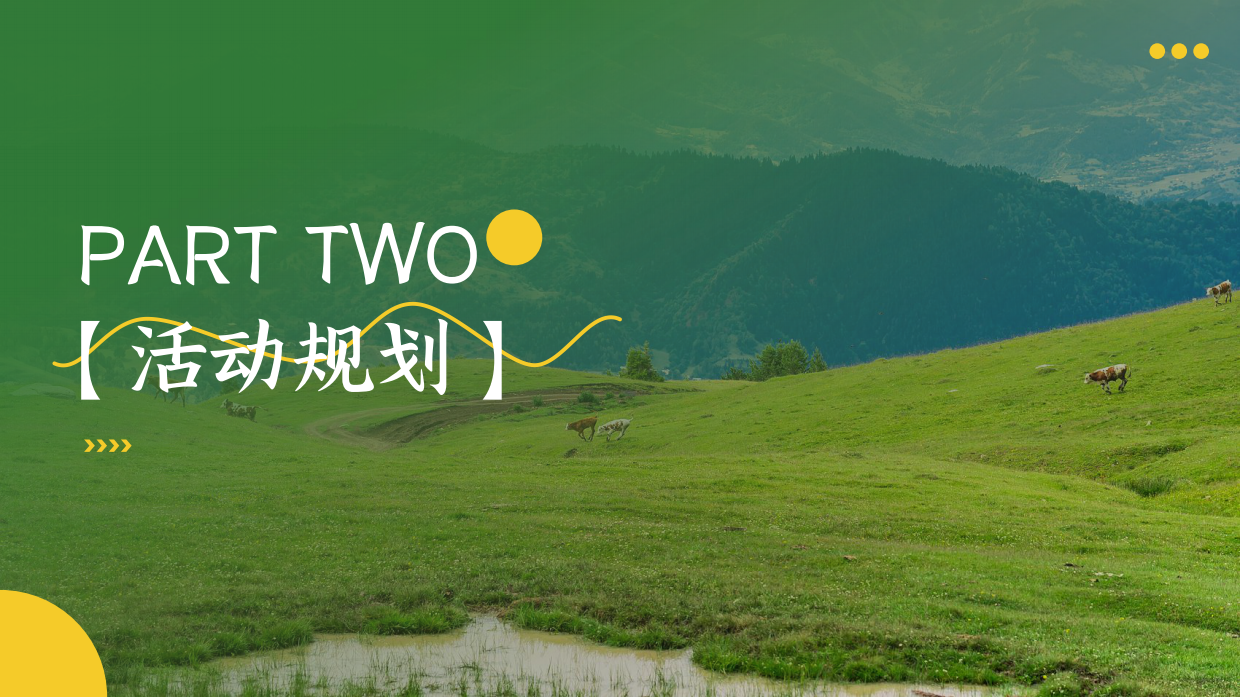 2026夏日户外自由季市集音乐会系列活动方案.pdf_第7页
