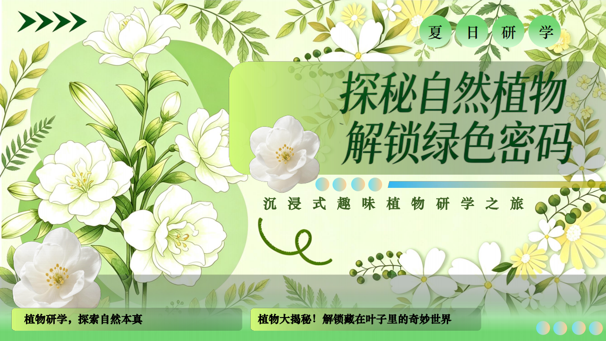 2026中小学夏日沉浸式趣味植物研学六一活动方案.pdf_第1页