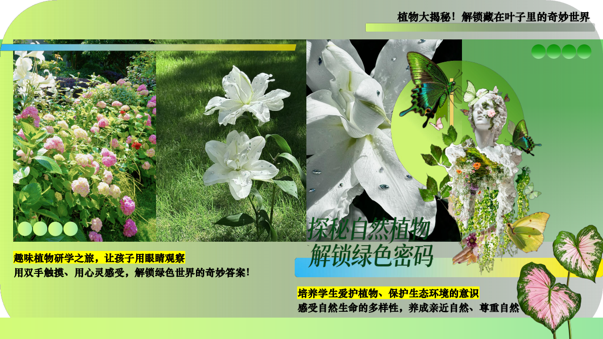 2026中小学夏日沉浸式趣味植物研学六一活动方案.pdf_第2页