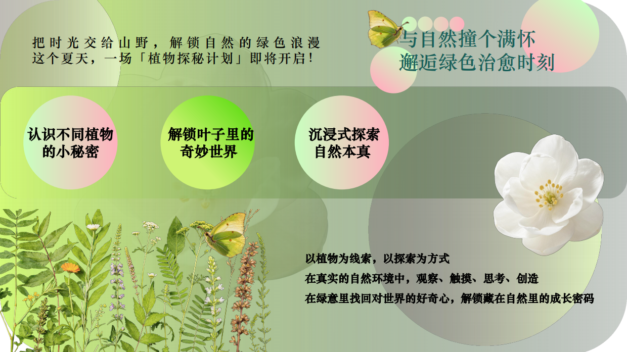 2026中小学夏日沉浸式趣味植物研学六一活动方案.pdf_第3页