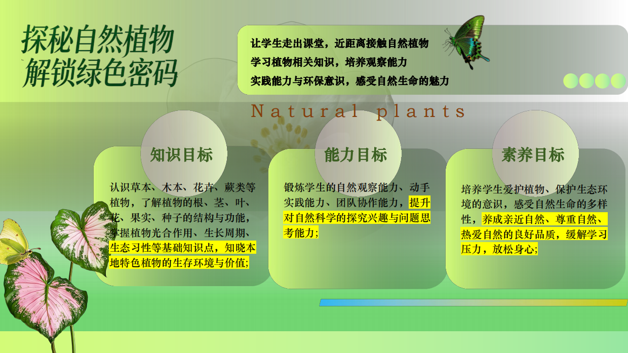 2026中小学夏日沉浸式趣味植物研学六一活动方案.pdf_第4页