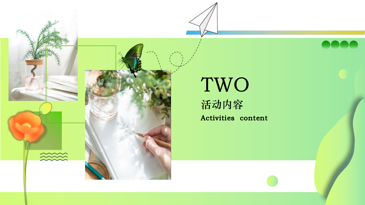 2026中小学夏日沉浸式趣味植物研学六一活动方案.pdf_第9页