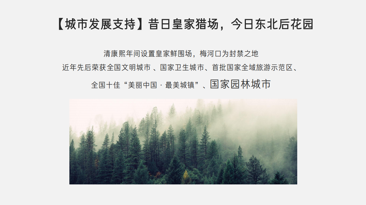 梅河口 世基·啤酒小镇推广策划案.pdf_第10页