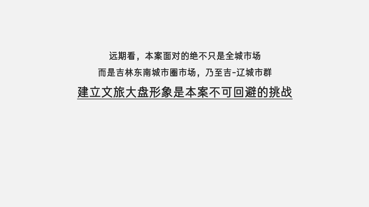 梅河口 世基·啤酒小镇推广策划案.pdf_第6页