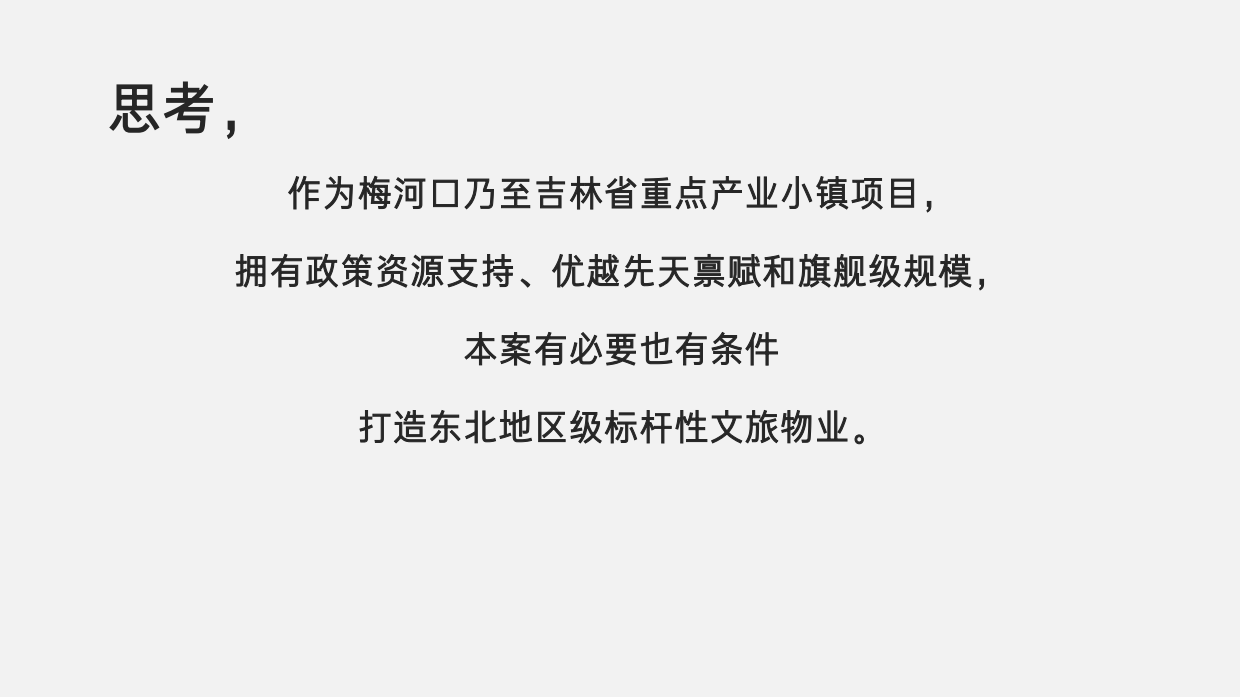 梅河口 世基·啤酒小镇推广策划案.pdf_第7页