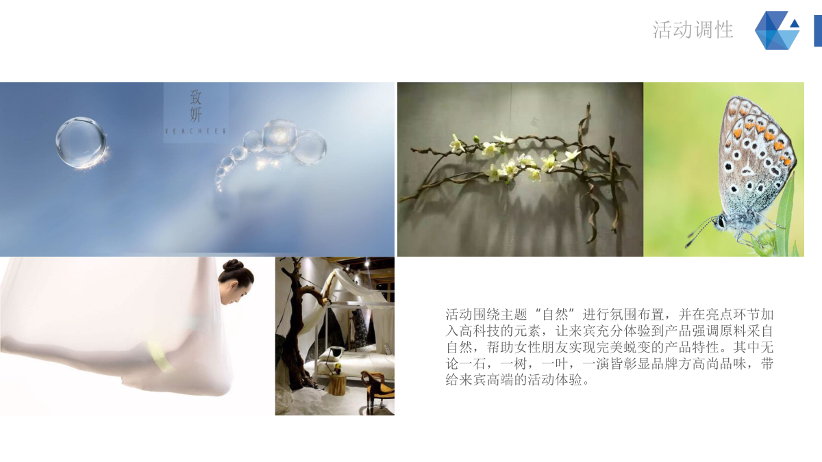 （美妆）致妍新品发布会会暨招商会策划案.pptx_第5页