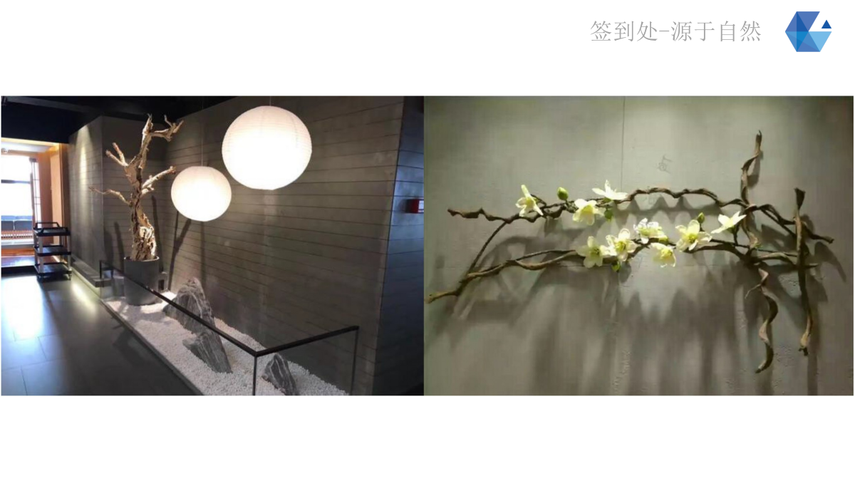 （美妆）致妍新品发布会会暨招商会策划案.pptx_第8页