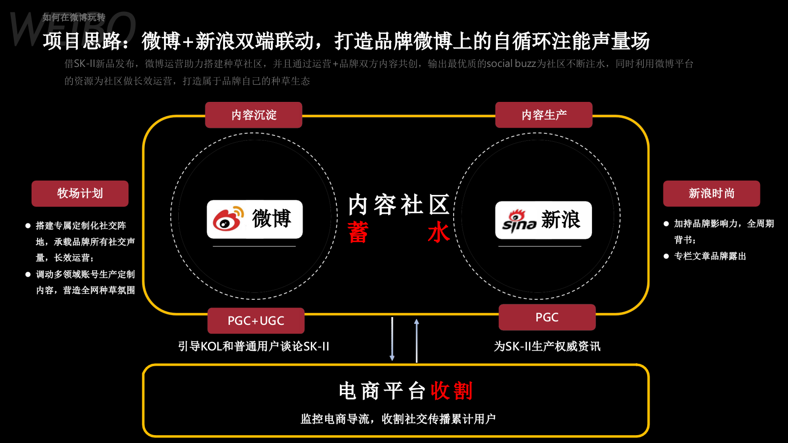 《SK-II种草营销结案》.pptx_第2页