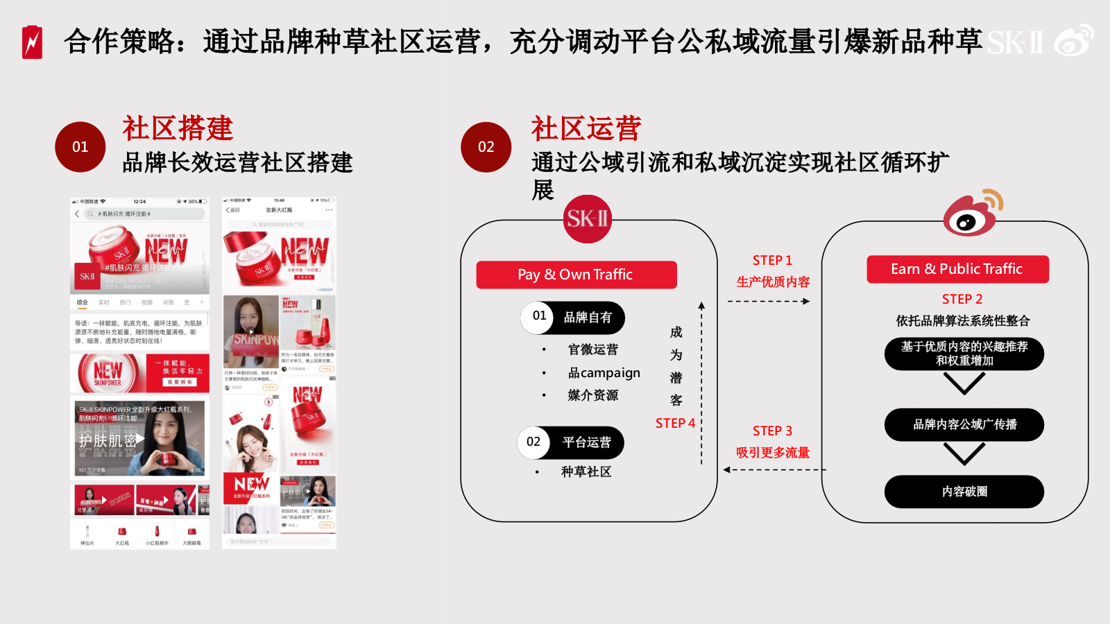 《SK-II种草营销结案》.pptx_第3页