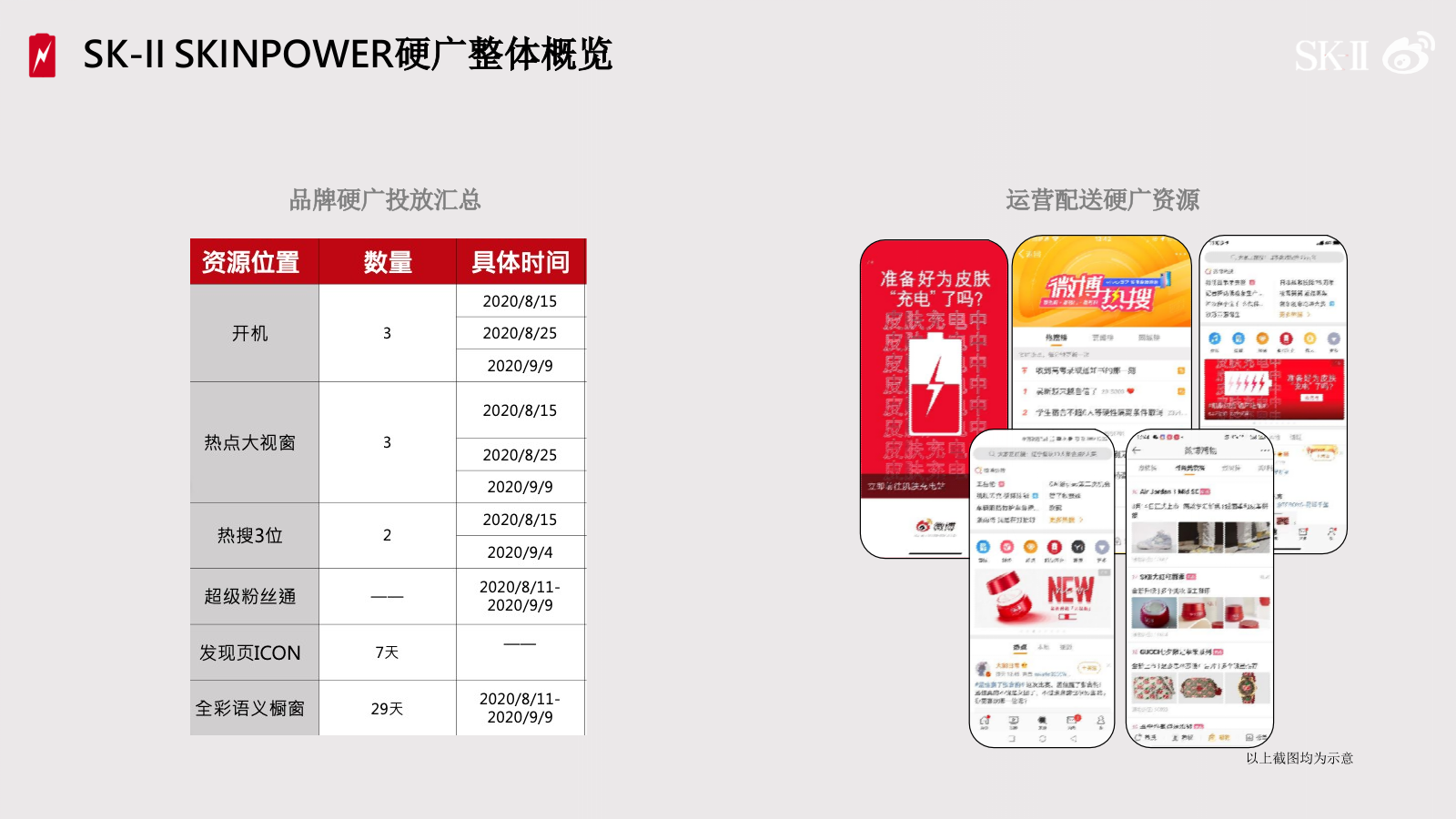 《SK-II种草营销结案》.pptx_第6页