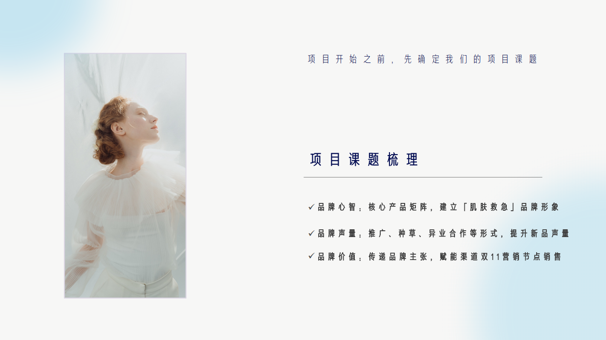 【西柚】绽妍双11营销方案.pdf_第3页