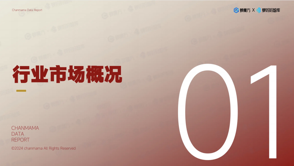 24年抖音第一美妆护肤品牌韩束拆解 .pdf_第3页