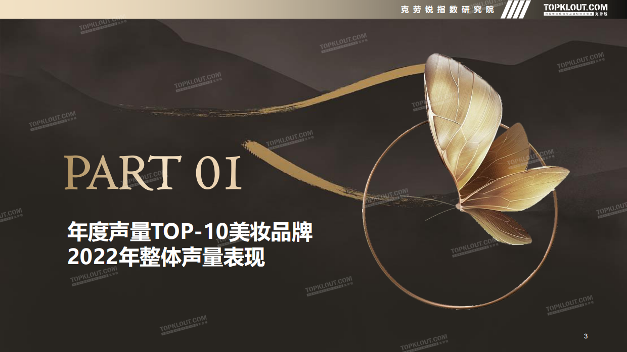 2022年新媒体声量top-10美妆品牌年度营销盘点-克劳锐.pdf_第3页