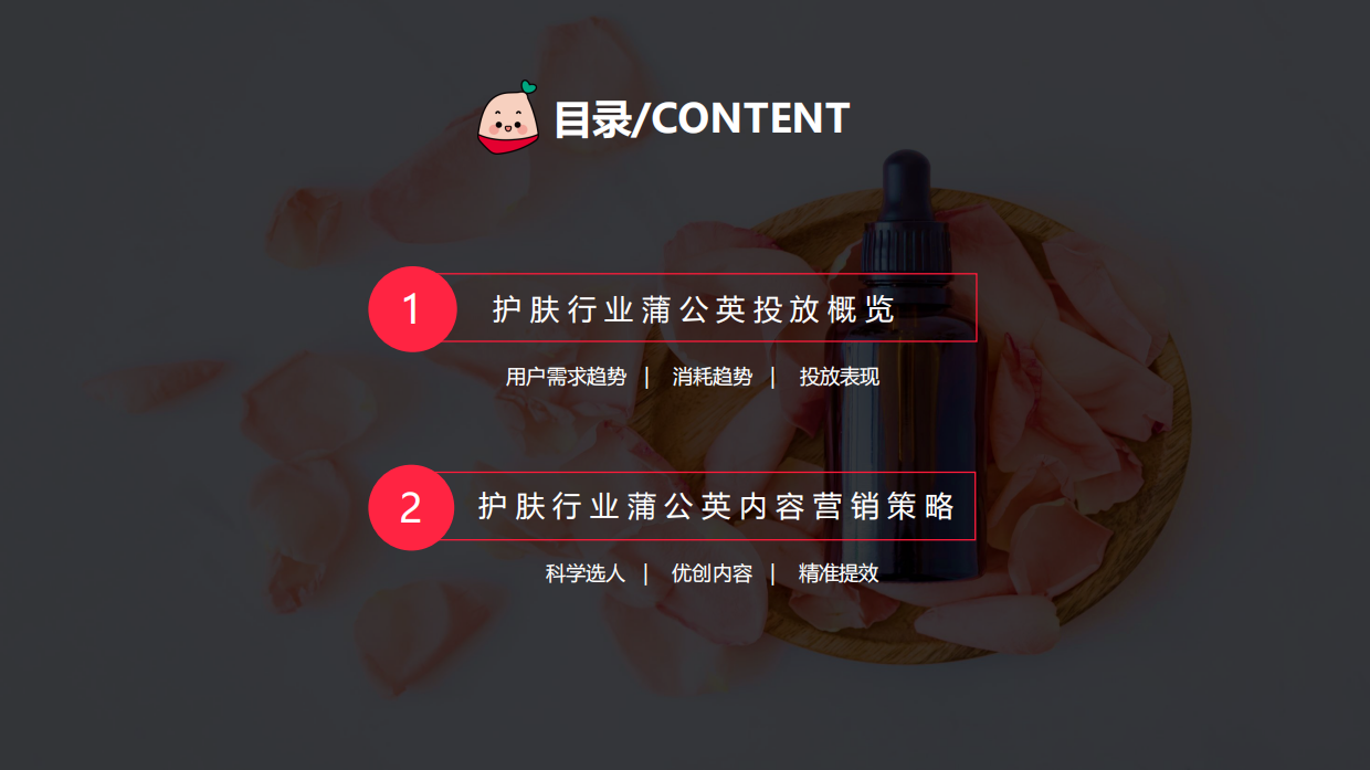 2022蒲公英护肤行业投放指南.pdf_第2页