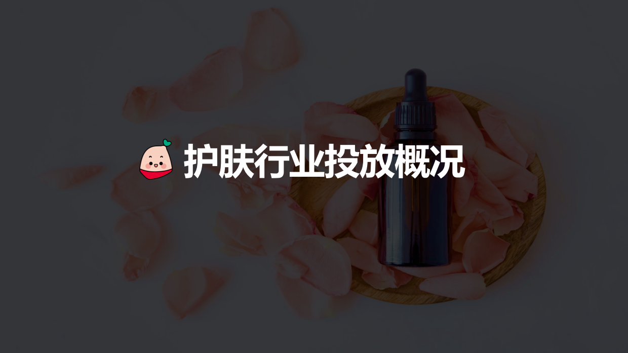 2022蒲公英护肤行业投放指南.pdf_第3页