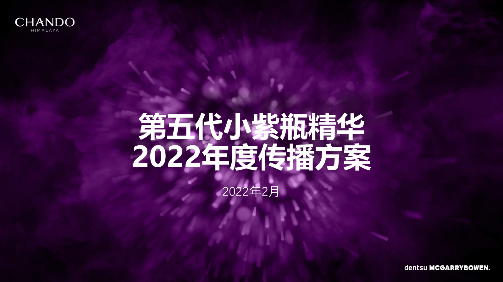 2022自然堂小紫瓶年度传播方案.pptx